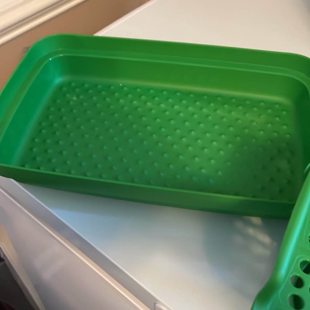 Tupperware container green - Picture 3 of 5